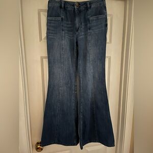 Pilcro Anthro Wide Leg Jeans – Seam Detail / Flare
Size 24 / 4